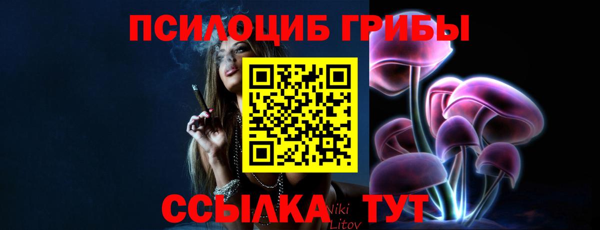 Псилоцибиновые грибы GOLDEN TEACHER Десногорск